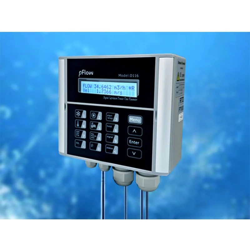 RTD FLOWMETER -1 (1)