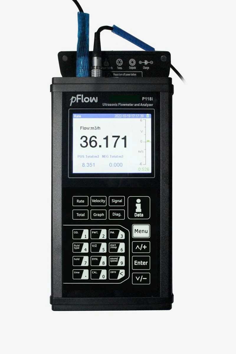 P118i-2001 P118i-2001