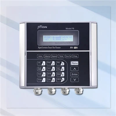 Wall Mounted Meter